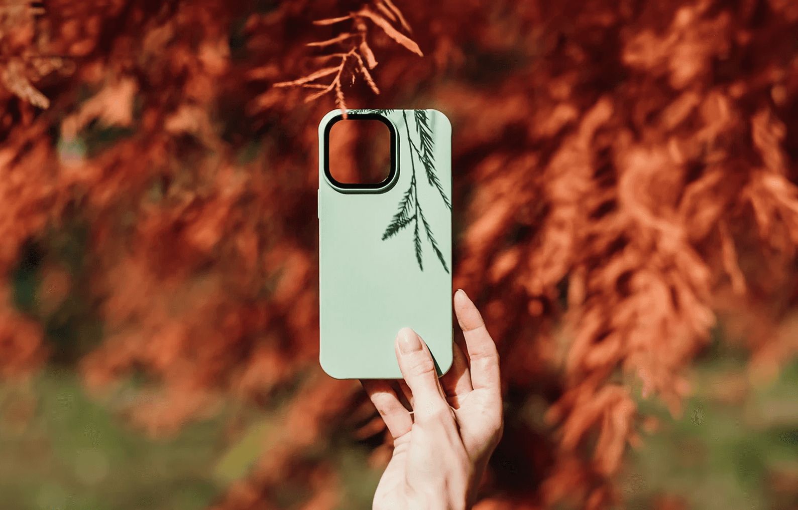 Hand holding a sage phone case among autumn leaves
