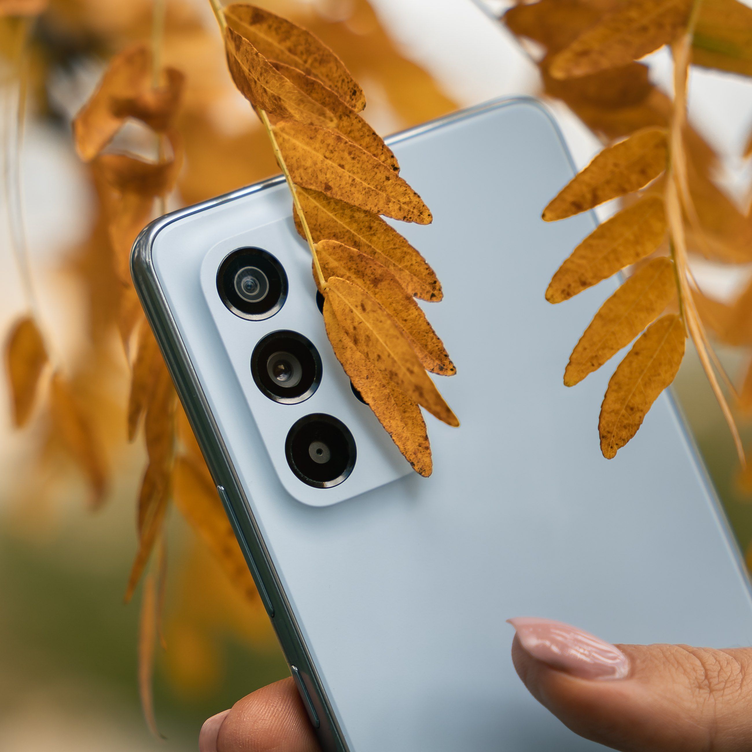Pale blue phone among golden autumn leaves