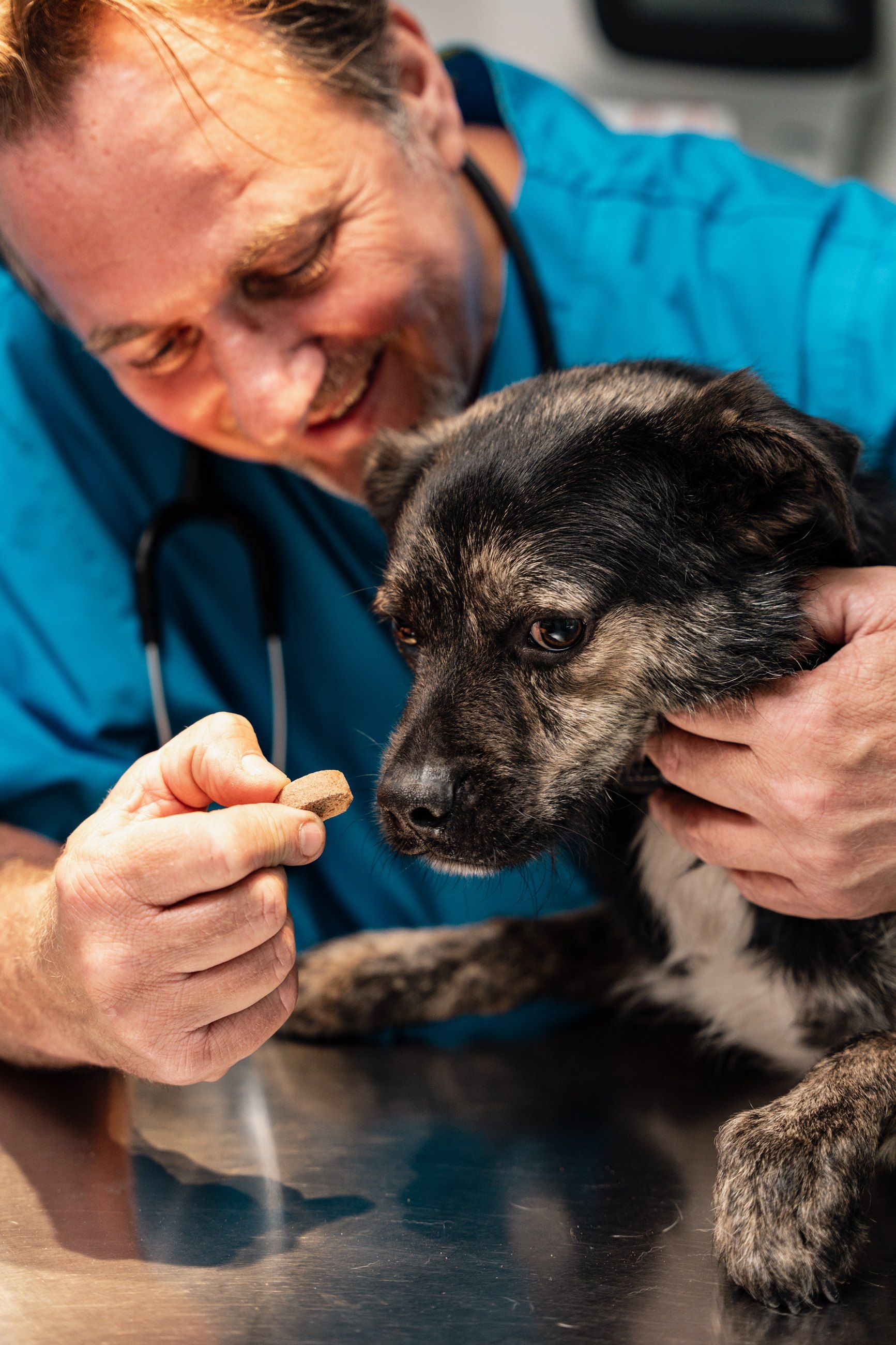 Vet smiling as he treats a puppy